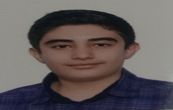 محمد طاها حسنی