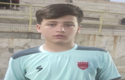 امیر محمد قاسمی لو