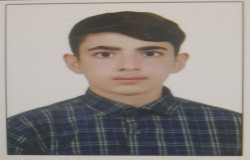 هومن شاطری