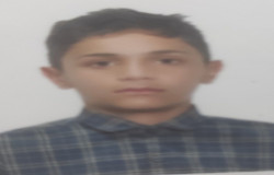 مبین طلوعی