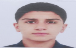 آراد محمودی