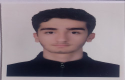 آرتین منصفی