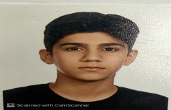 یاشار ابوالحسنی