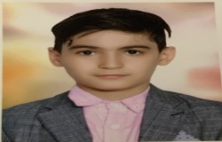امیرحسین باغچی زاده خامنه