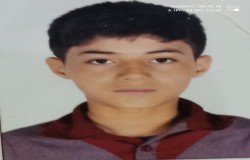 امیرحسین تقدسی شارک