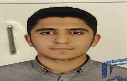 امیرحسین لطفی