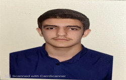 محمدرضا قیصری