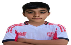 علی حسن لو