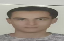 محمدرضا بیرقی