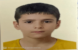 نوید ندامان فرد