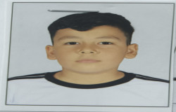 امیر رضا شکری