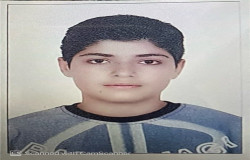 شارمین سبزی خشک