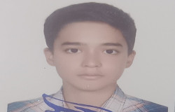 سید محمد جواد امامیان