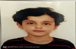 امیل فیضی