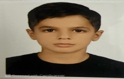 امیررضا باغجری