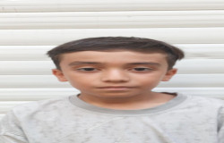 علی یارلو
