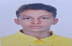 سینا سوری