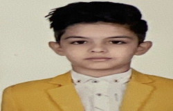 محمدسام عامری