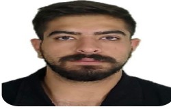 سید امیر حسین طبایی