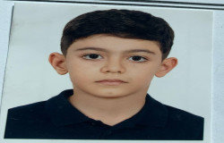 آریا محمدیان