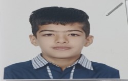 مهدی ناروئی