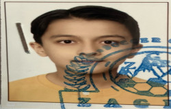 امیررضا عبداله زاده شاندیز