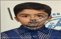 علی شهرابی فراهانی