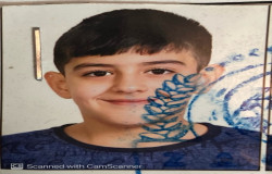 نیما سلطانی محمدی