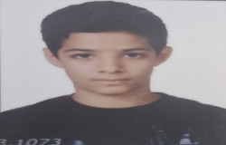 آرمین علیزاده