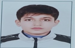 آریا داودپور