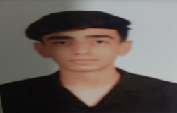 محمدآرین شمسی
