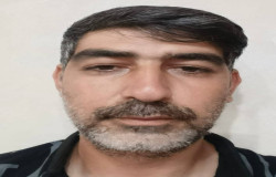 سعید گلی نیا