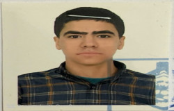 محمدمهدی انصاری