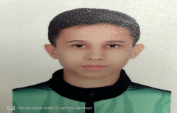 محمدحسن مقیسه