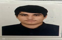 سیدامیرعلی دریاباری