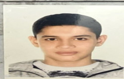 شایان باقری