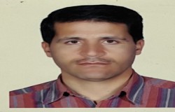 داود احمدی