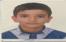 امیرحسین حسین پور