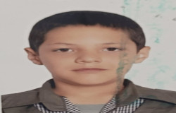 علی محمدی