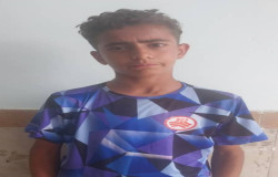 امیر مهدی باغداری