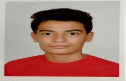 پدرام پارسا