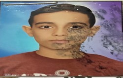 مهیار شجاع شفیعی