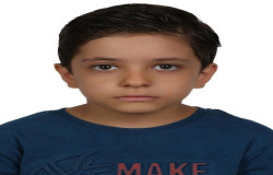 رائین محقق دوانی