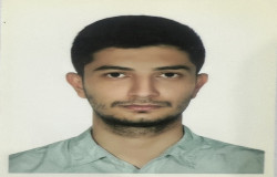 پژمان محمدی