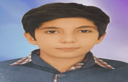 آرشین آقاپور