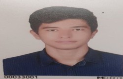 سینا احمدی