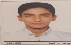 آرمین غلام پور