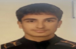 نیکان فرهمندزادگان