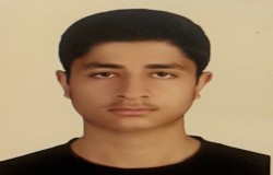 آرتین طالشی