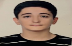پرهام چهاردولی